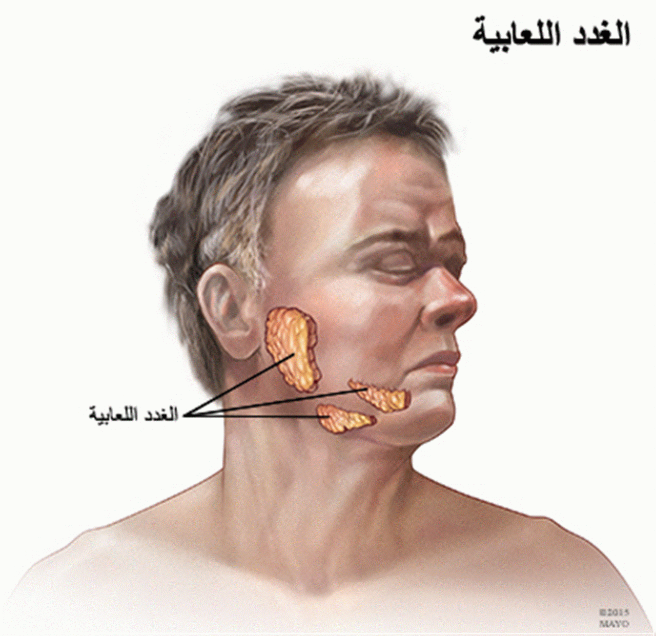 اعراض التهاب الغدد اللعابية - ما هي اعراض الغدد اللعبيه 6134