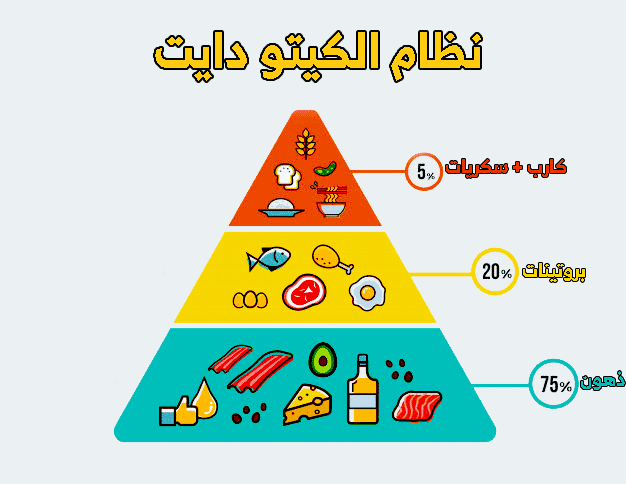 شرح نظام الكيتو , اروع نظام لانقاص الوزن