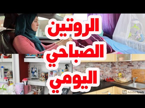 تجربتي في شراء مقاضي البيت 1675